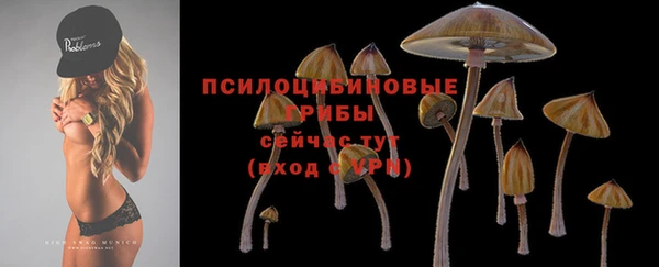 спиды Вязьма