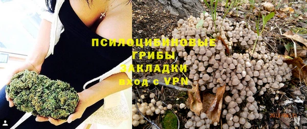 герыч Вяземский
